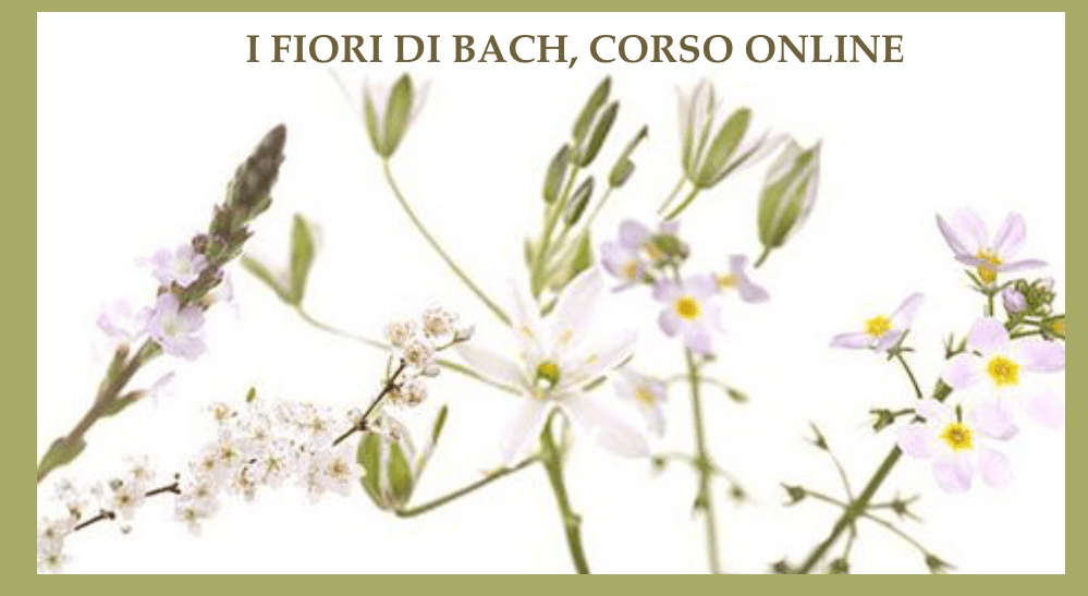 I FIORI DI BACH CORSO ONLINE modulo&nbsp;1°