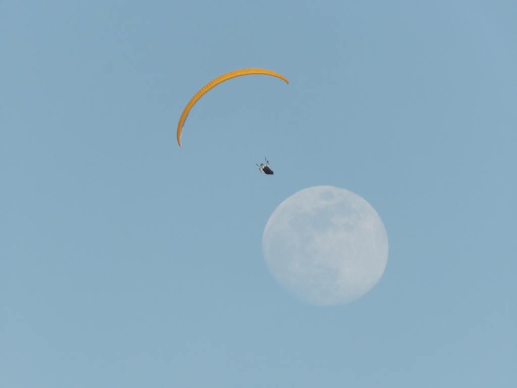 Video: sentire la propria Luna&nbsp;astrologica
