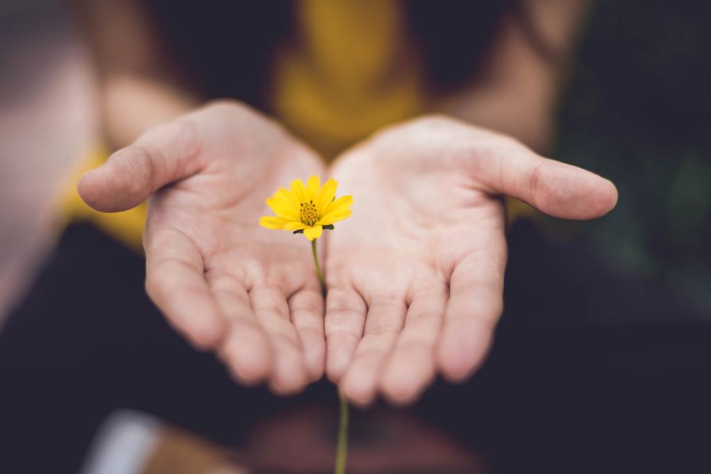 Protetto: Le Basi delle relazioni e I Fiori di Bach, pdf